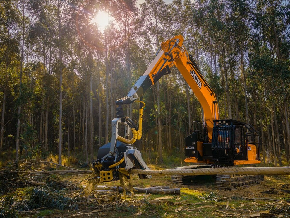 JCB+JS220F